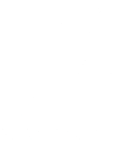 Vayner Partner Logo